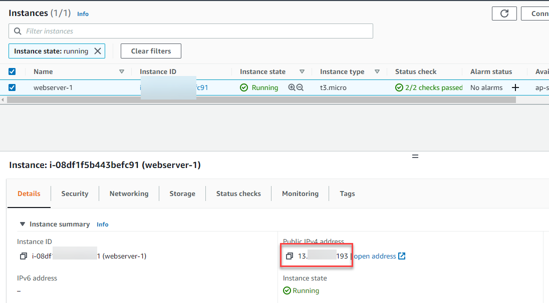 Screen shot of public IP address of new instance.